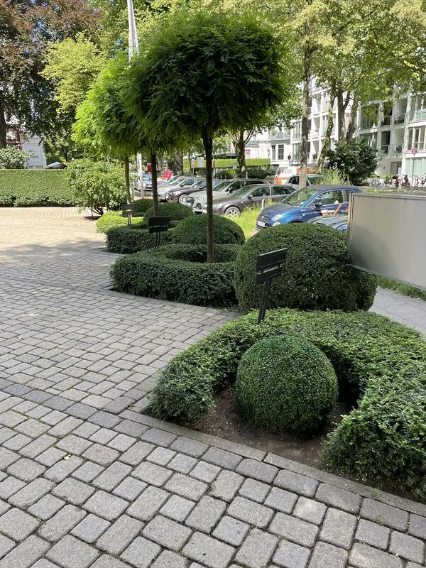 Beetpflege Ergebnis Hamburg